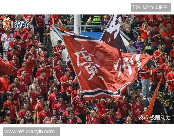 广州篮球队实力引发热议球迷观点分歧背后的深层原因分析